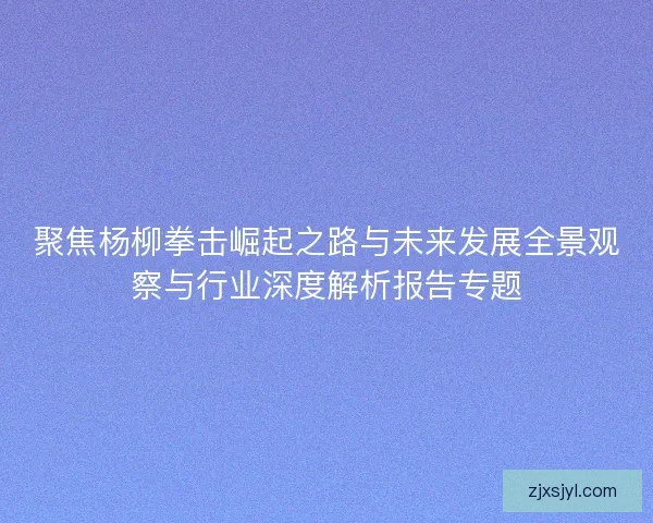 聚焦杨柳拳击崛起之路与未来发展全景观察与行业深度解析报告专题