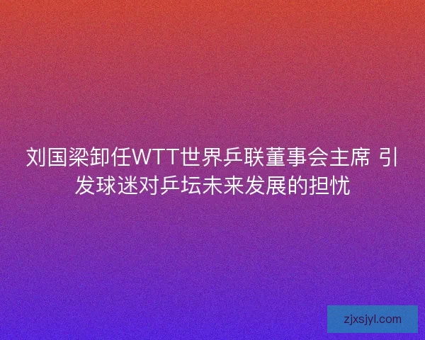 刘国梁卸任WTT世界乒联董事会主席 引发球迷对乒坛未来发展的担忧