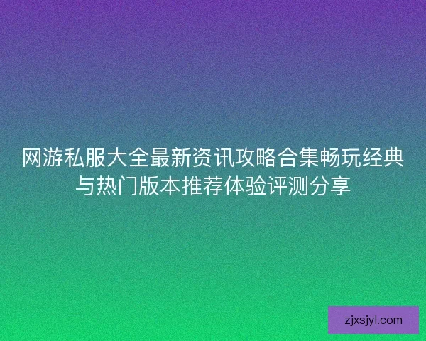 网游私服大全最新资讯攻略合集畅玩经典与热门版本推荐体验评测分享