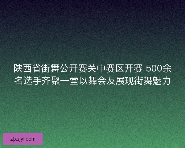 陕西省街舞公开赛关中赛区开赛 500余名选手齐聚一堂以舞会友展现街舞魅力